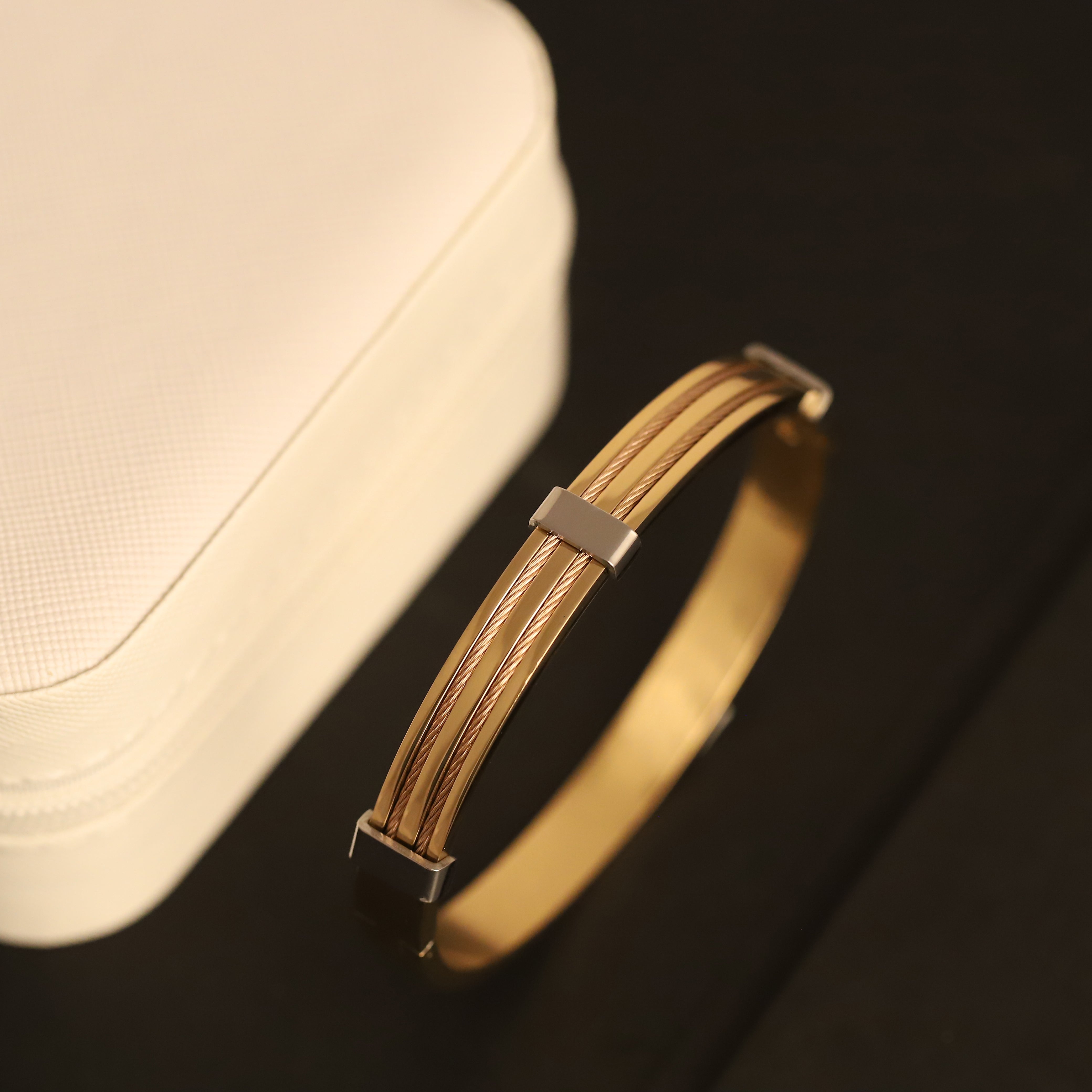 Titan Edge Dual-Tone 18K Gold-Plated Men’s Bracelet
