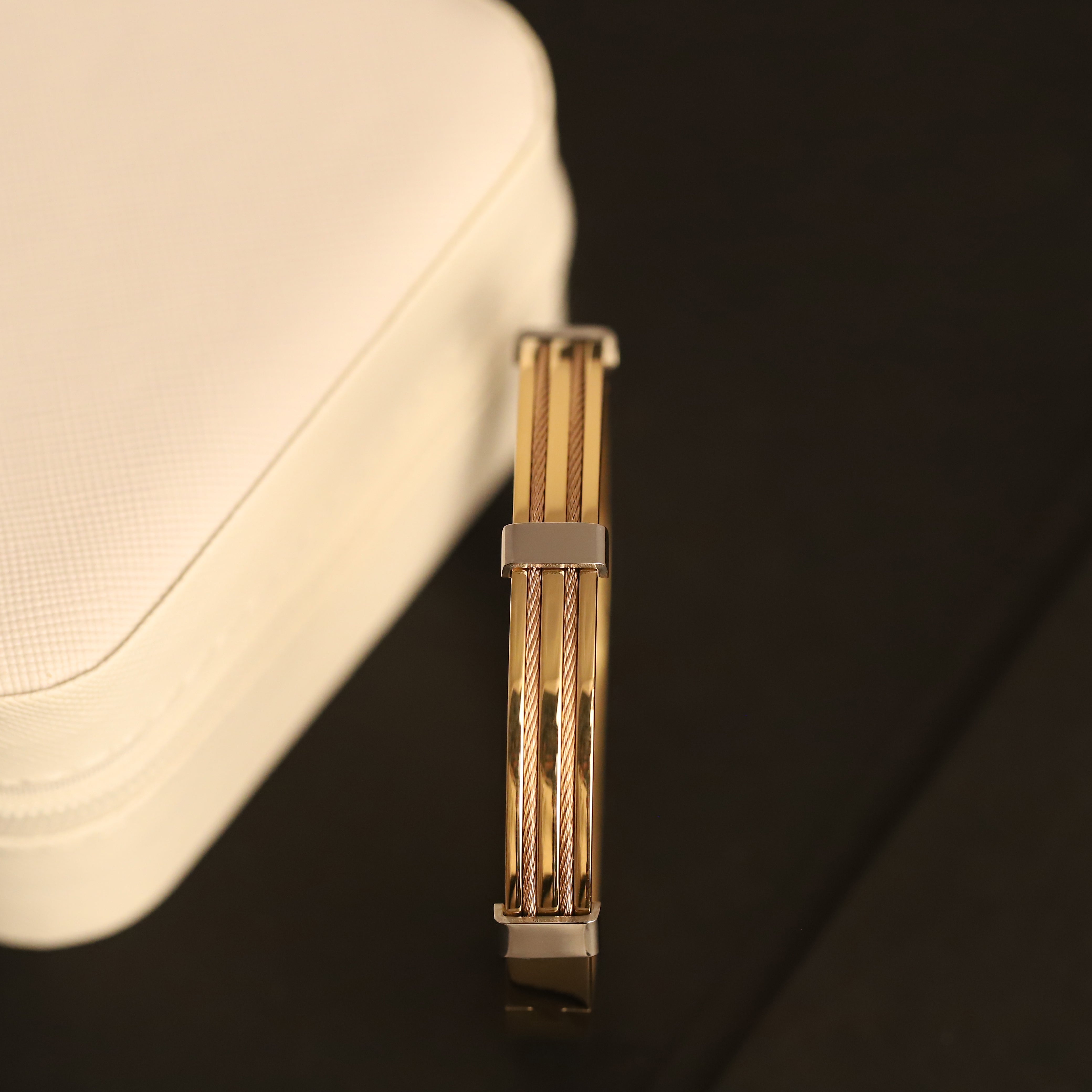 Titan Edge Dual-Tone 18K Gold-Plated Men’s Bracelet