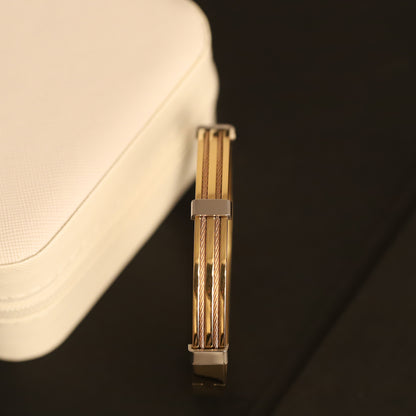 Titan Edge Dual-Tone 18K Gold-Plated Men’s Bracelet