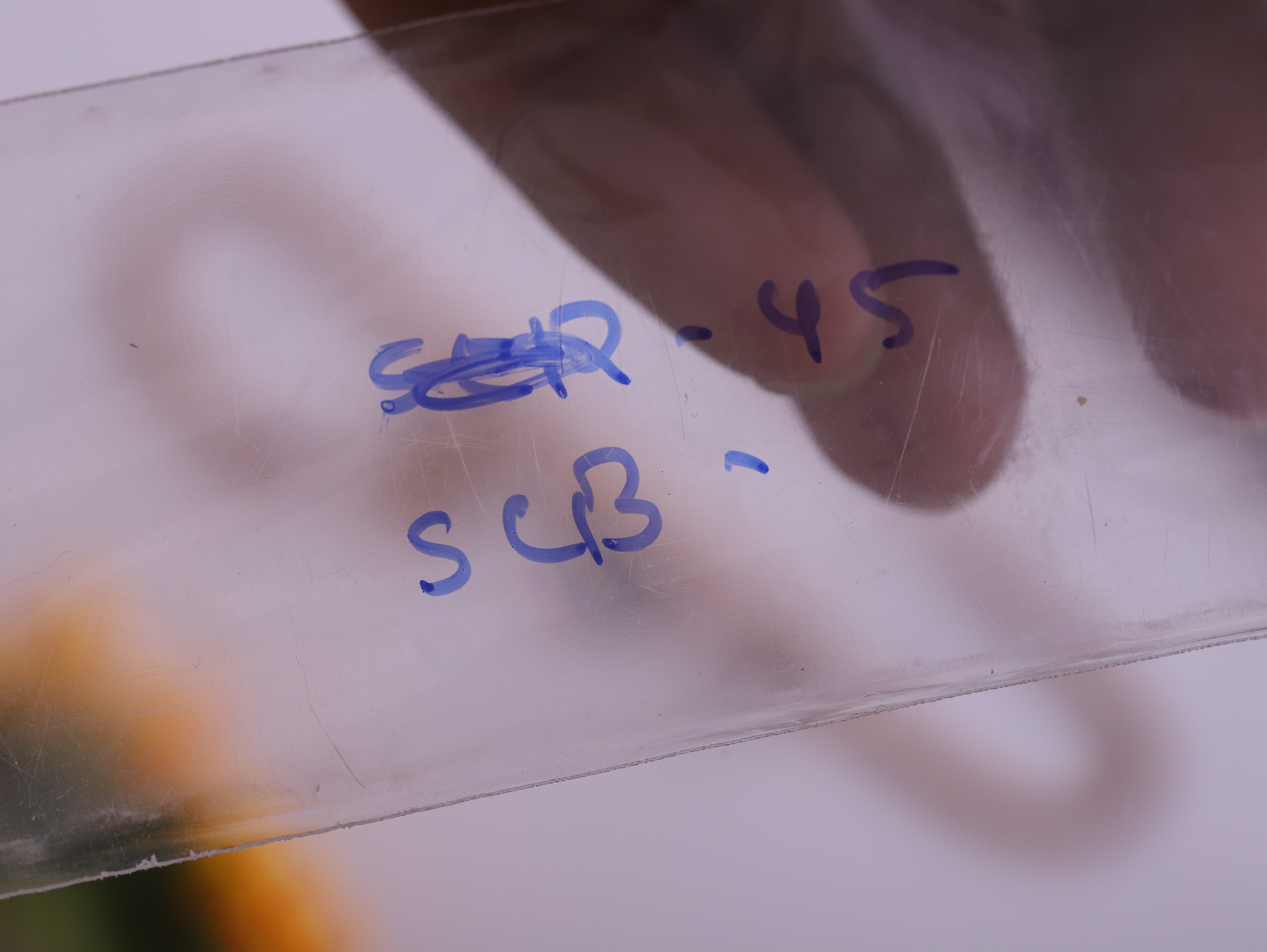 Evil Eye Chain Bracelet Gold Plated – Single Layer, Anti-Tarnish, Waterproof(ROSE GOLD)