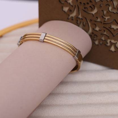 Titan Edge Dual-Tone 18K Gold-Plated Men’s Bracelet