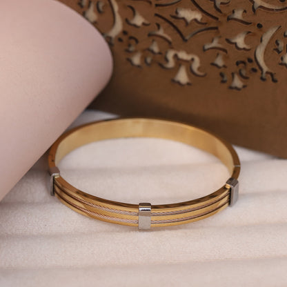 Titan Edge Dual-Tone 18K Gold-Plated Men’s Bracelet